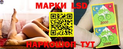 хмурый Гатчина