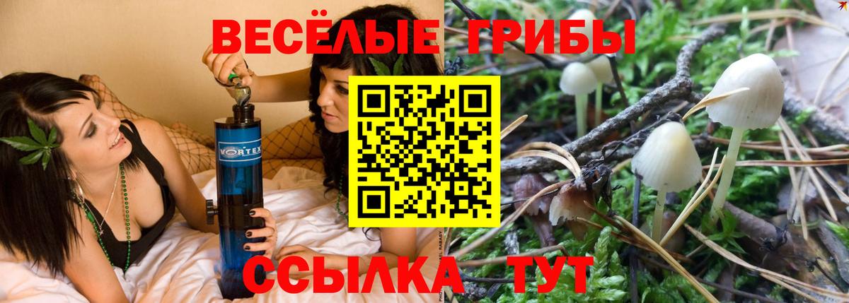 Псилоцибиновые грибы MAGIC MUSHROOMS  Вход с VPN  Вольск 